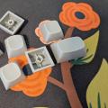 A new keycap profile is in the work
