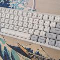 Gateron Melodic on a Neo65