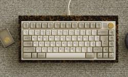 Featured image of post PBS - The Penguin Slides fast on his Belly