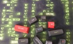 Featured image of post Susuwatari goes production