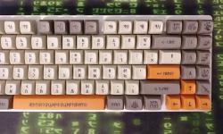 Featured image of post The dwarves have arrived!