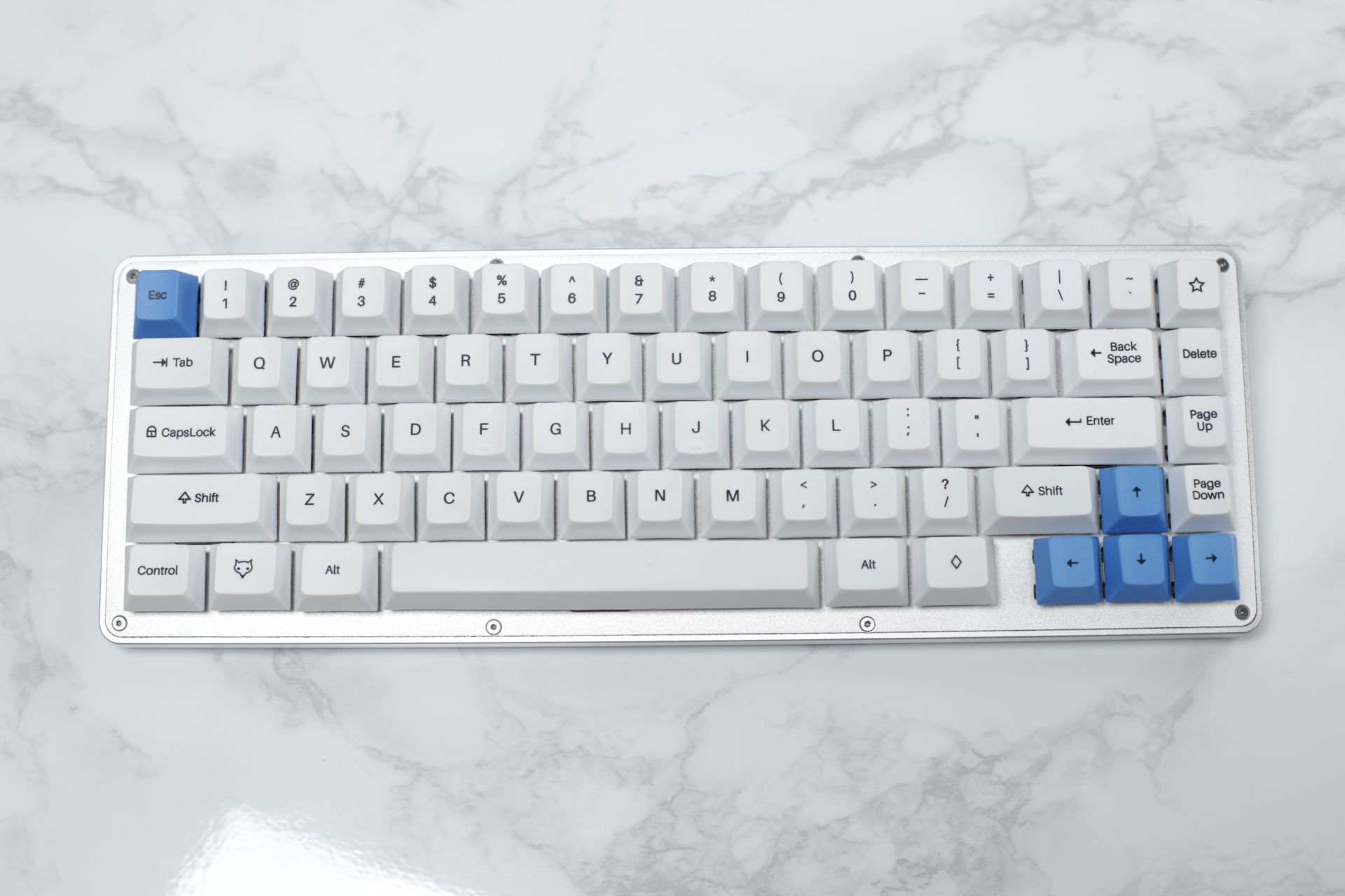 Whitefox Vera