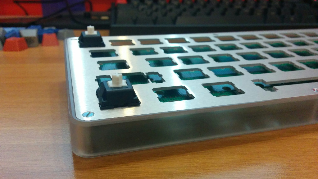 whitefox-dev-1